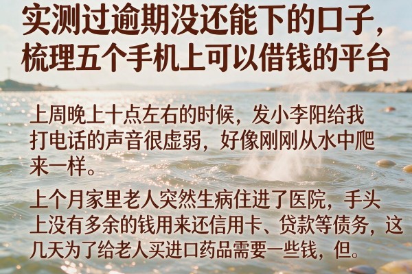 实测过逾期没还能下的口子，梳理五个手机上可以借钱的平台
