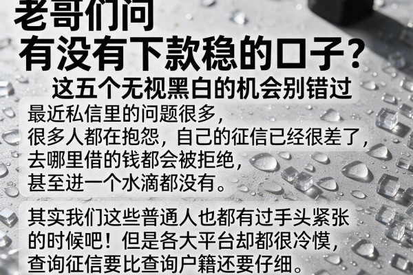 老哥们问有没有下款稳的口子?这五个无视黑白的机会别错过