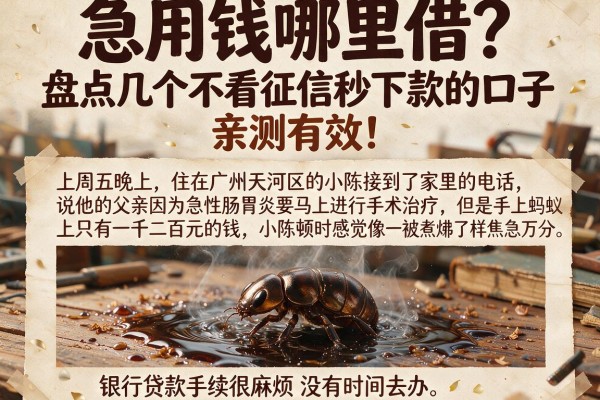 急用钱哪里借?盘点几个不看征信秒下款的口子,亲测有效!