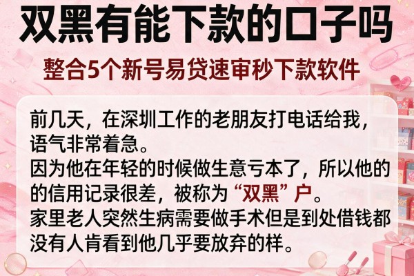 双黑有能下款的口子吗，整合5个新号易贷速审秒下款软件