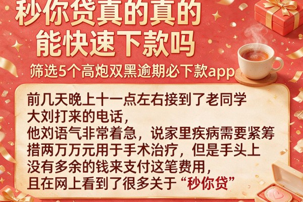 秒你贷真的能快速下款吗，筛选5个高炮双黑逾期必下款app