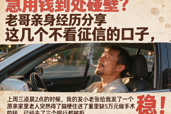 急用钱到处碰壁?老哥亲身经历分享这几个不看征信的口子,下款稳!