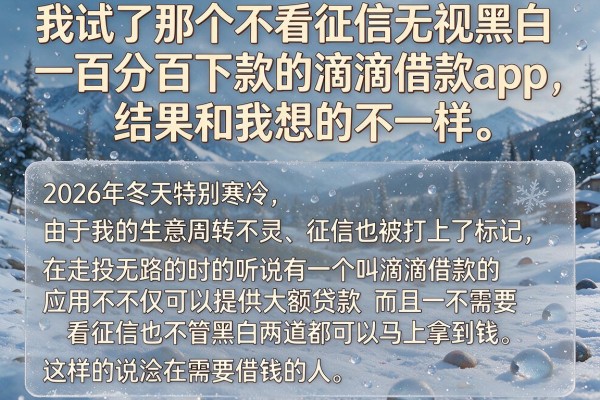 我试了那个不看征信无视黑白百分百下款的滴滴借款app，结果和我想的不一样