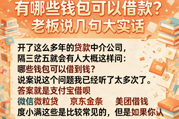 有哪些钱包可以借款?老板说几句大实话