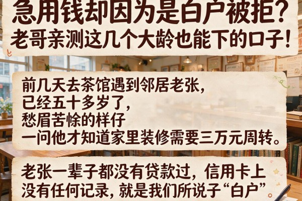 急用钱却因为是白户被拒？老哥亲测这几个大龄也能下的口子！
