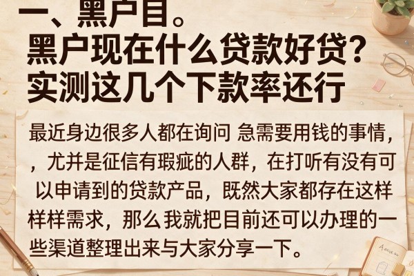 黑户现在什么贷款好贷?实测这几个下款率还行