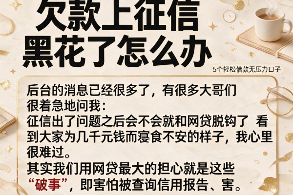 欠款上征信黑花了怎么办，详尽说明5个轻松借款无压力口子