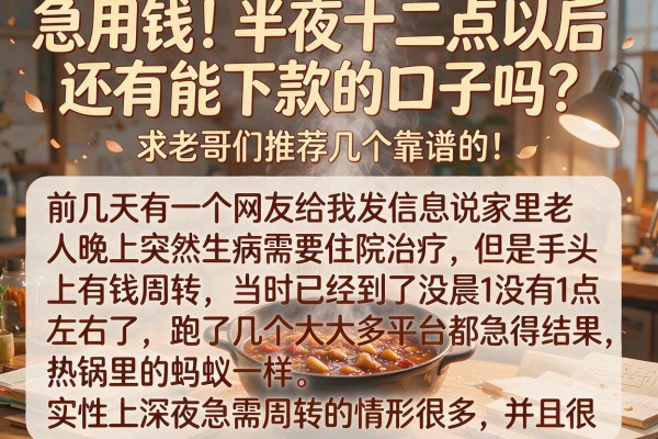 急用钱!半夜十二点以后还有能下款的口子吗?求老哥们推荐几个靠谱的!