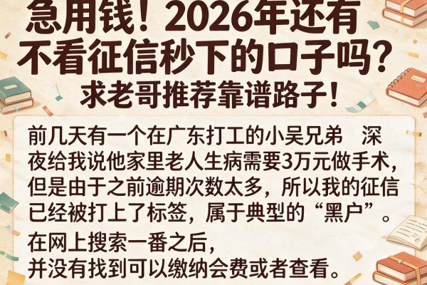 急用钱！2026年还有不看征信秒下的口子吗？求老哥推荐靠谱路子！