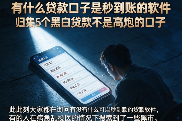 有什么贷款口子是秒到账的软件，归集5个黑白贷款不是高炮的口子