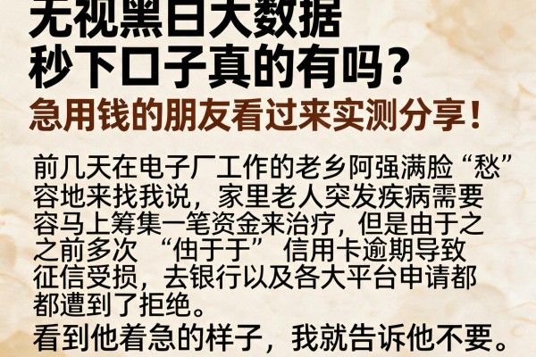 无视黑白大数据秒下口子真的有吗？急用钱的朋友看过来实测分享！