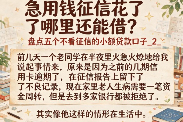 急用钱征信花了哪里还能借？盘点五个不看征信的小额贷款口子_2