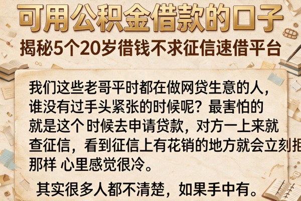 可用公积金借款的口子，揭秘5个20岁借钱不求征信速借平台