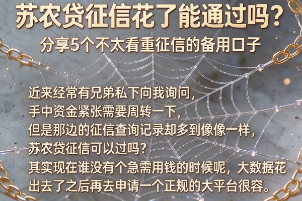 苏农贷征信花了能通过吗？分享5个不太看重征信的备用口子