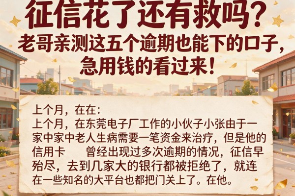 征信花了还有救吗？老哥亲测这五个逾期也能下的口子，急用钱的看过来！