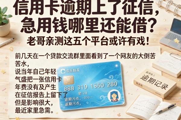 信用卡逾期上了征信,急用钱哪里还能借?老哥亲测这五个平台或许有戏!