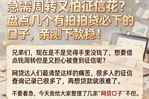 急需周转又怕征信花？盘点几个有拍拍贷必下的口子，亲测下款稳！