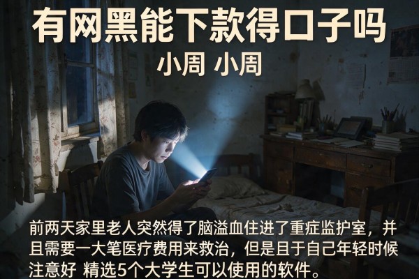 有网黑能下款得口子吗,精选5个大学生可以使用的软件