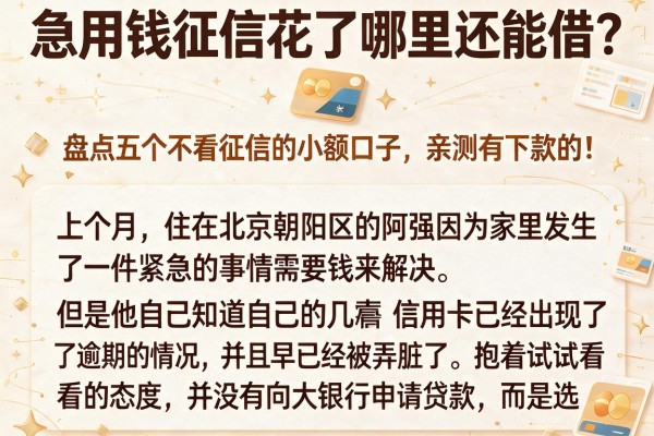 急用钱征信花了哪里还能借？盘点五个不看征信的小额口子，亲测有下款的！