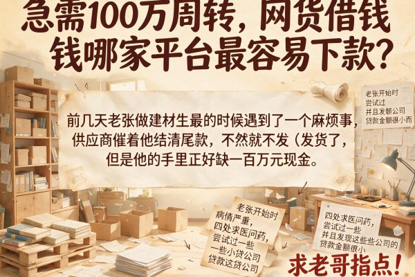 急需100万周转，网货借钱哪家平台最容易下款？求老哥指点！