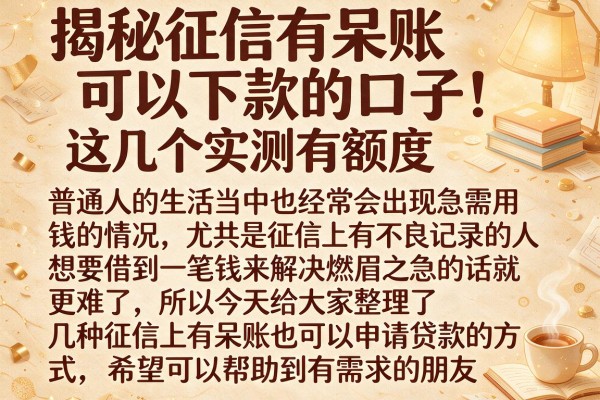 揭秘征信有呆账可以下款的口子，这几个实测有额度