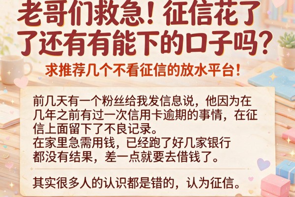 老哥们救急！征信花了还有能下的口子吗？求推荐几个不看征信的放水平台！