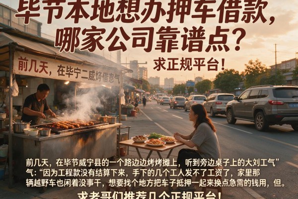 毕节本地想办押车借款，哪家公司靠谱点？求老哥们推荐几个正规平台！