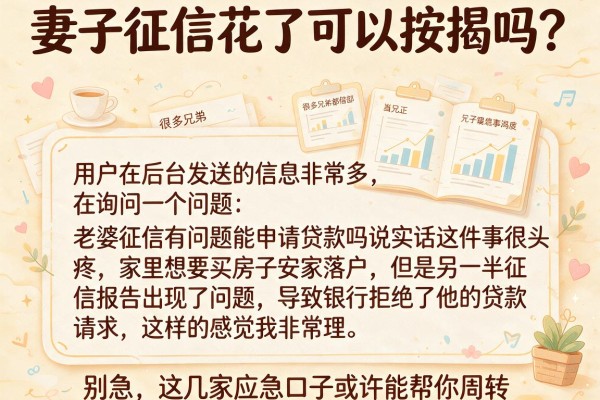 妻子征信花了可以按揭吗？别急，这几家应急口子或许能帮你周转