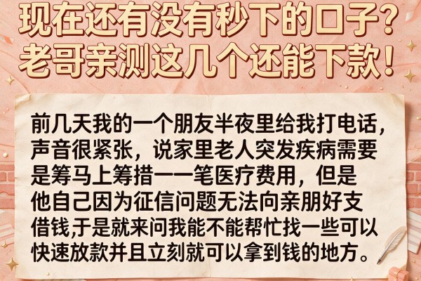 现在还有没有秒下的口子？老哥亲测这几个还能下款！