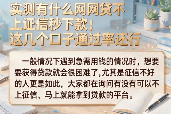 实测有什么网贷不上征信秒下款，这几个口子通过率还行