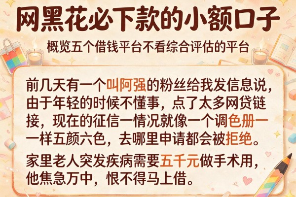 网黑花必下款的小额口子，概览五个借钱平台不看综合评估的平台