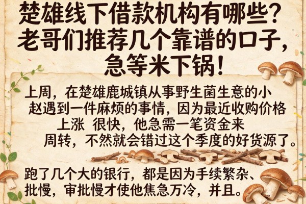 楚雄线下借款机构有哪些？老哥们推荐几个靠谱的口子，急等米下锅！