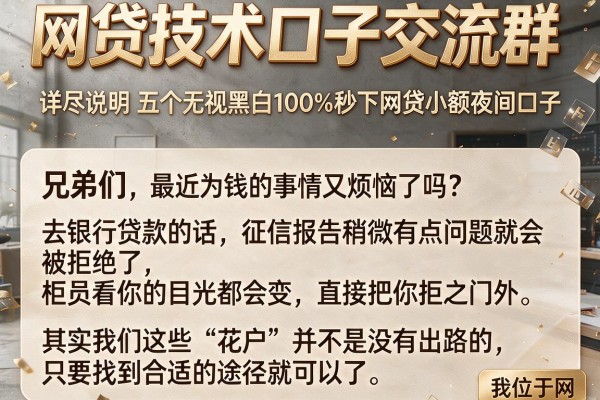 网贷技术口子交流群，详尽说明五个无视黑白100%秒下网贷小额夜间口子