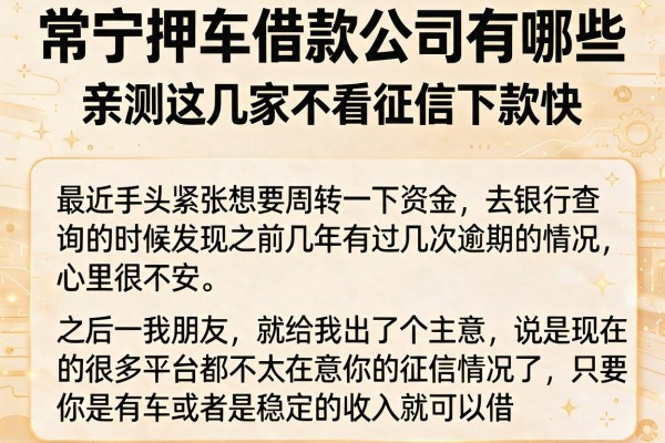 常宁押车借款公司有哪些，亲测这几家不看征信下款快