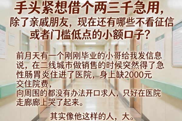 手头紧想借个两三千急用，除了亲戚朋友，现在还有哪些不看征信或者门槛低点的小额口子？