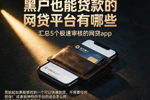 黑户也能贷款的网贷平台有哪些，汇总5个极速审核的网贷app