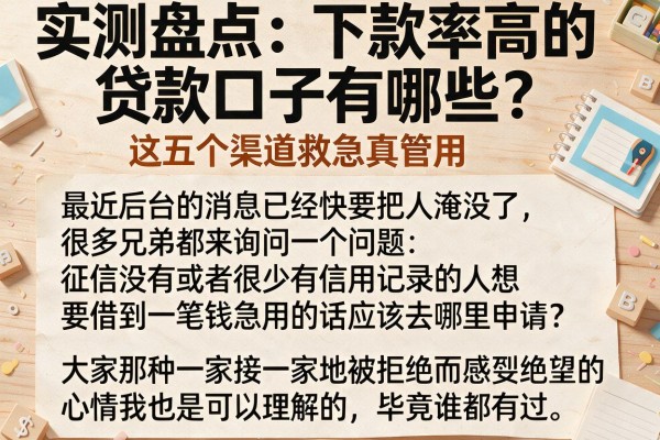实测盘点：下款率高的贷款口子有哪些？这五个渠道救急真管用