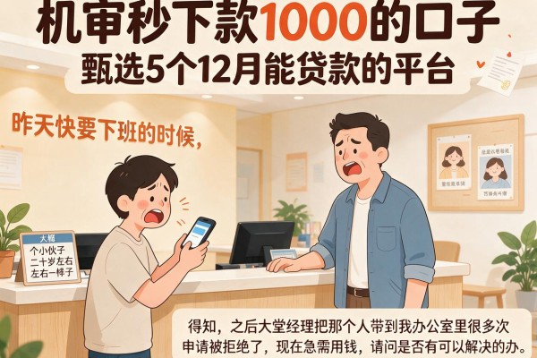 机审秒下款1000的口子,甄选5个12月能贷款的平台