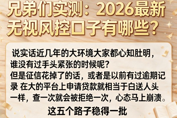 兄弟们实测：2026最新无视风控口子有哪些？这五个路子稳得一批