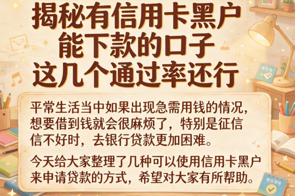 揭秘有信用卡黑户能下款的口子，这几个通过率还行