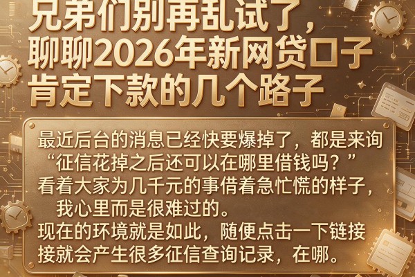 兄弟们别再乱试了，聊聊2026年新网贷口子肯定下款的几个路子