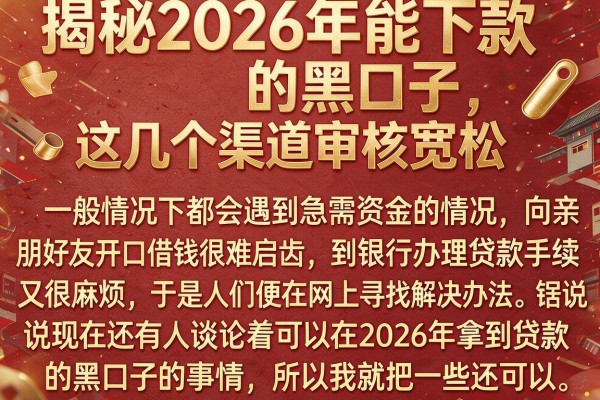 揭秘2026年能下款的黑口子，这几个渠道审核宽松