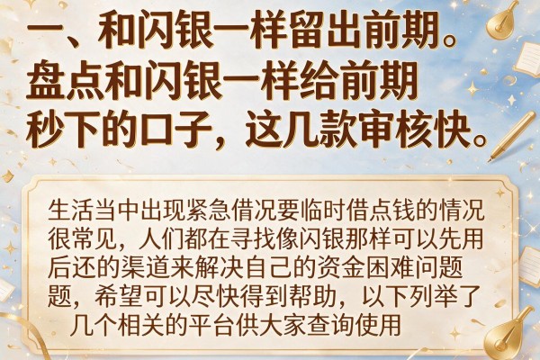 盘点和闪银一样给前期秒下的口子，这几款审核快