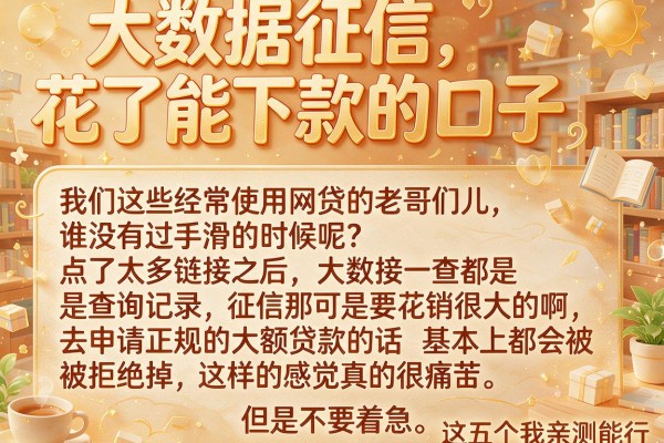 大数据征信花了能下款的口子，这五个我亲测能行