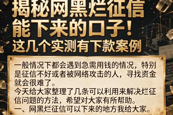 揭秘网黑烂征信能下来的口子，这几个实测有下款案例