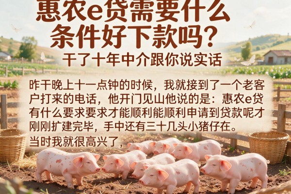 惠农e贷需要什么条件好下款吗？干了十年中介跟你说实话