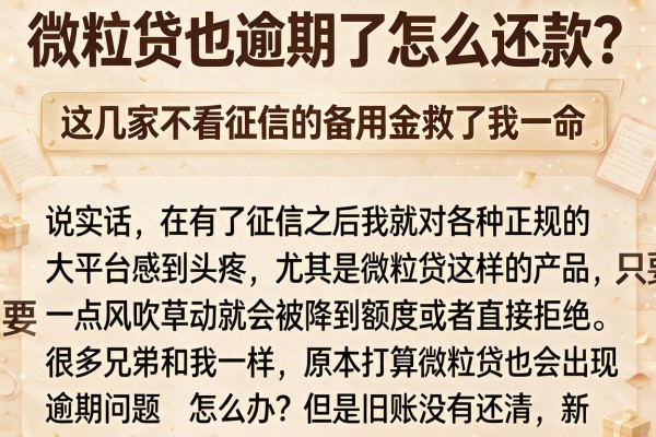 微粒贷也逾期了怎么还款？这几家不看征信的备用金救了我一命