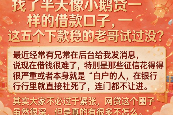 找了半天像小鹅贷一样的借款口子，这五个下款稳的老哥试过没？