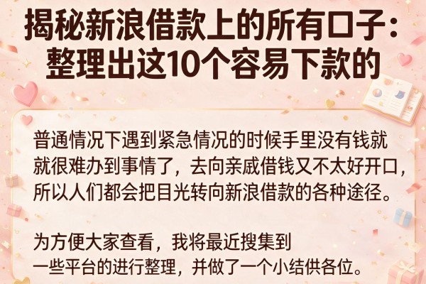 揭秘新浪借款上的所有口子：整理出这10个容易下款的