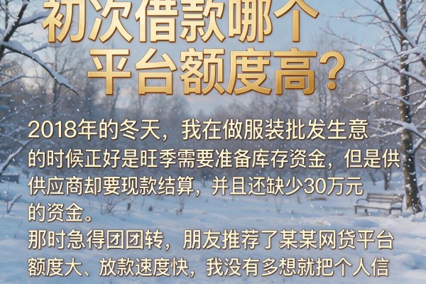 初次借款哪个平台额度高？我踩过三次坑才搞明白